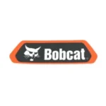 bobcat